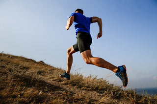 Can Deer Antler Velvet Increase Your Muscular Development and Strength?